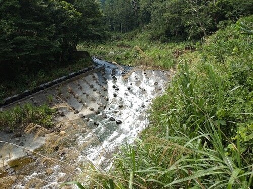 粗石斜曲面魚道(主河道)及改良型舟通式鱼道(河道右側)